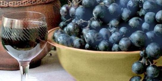Домашнее вино из синего винограда