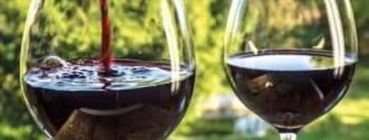 домашнее вино из смородины без дрожжей. Шаг 7