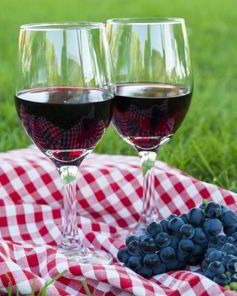 Домашнее вино из винограда