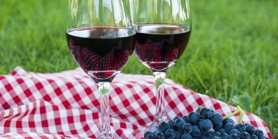 Домашнее вино из винограда