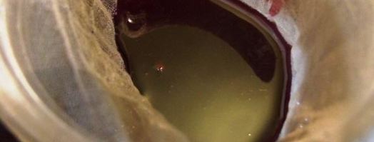 ежевичный сироп для дамских алькогольных напитков. Шаг 5