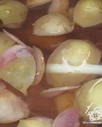 Напиток яблочный необычный