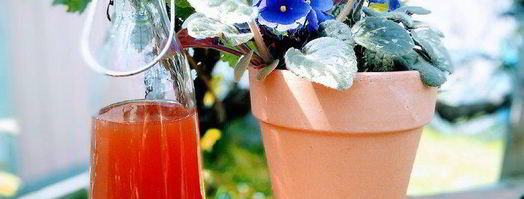 ревеневый сироп. Шаг 6