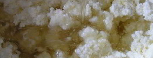 творожные булочки с мятным сиропом. Шаг 3