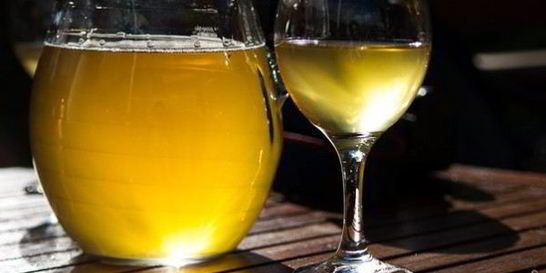 Вино из яблочного сока