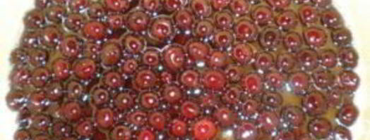 вишня в сиропе на зиму. Шаг 7