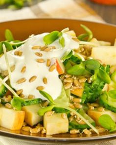 Салат из огурцов, яблок, проросшей пшеницы