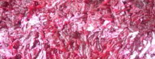 селедка под шубой с жареным луком. Шаг 5