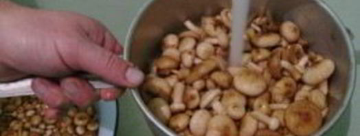 салат жар-птица с опятами. Шаг 6