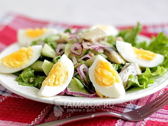 Рецепт селедочного салата с яйцом и огурцом