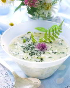 Соус из огурцов с зеленью и чесноком дзадзики