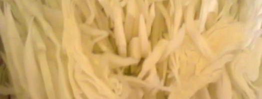 борщ диетический. Шаг 6