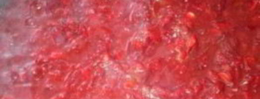 борщ из конины. Шаг 8