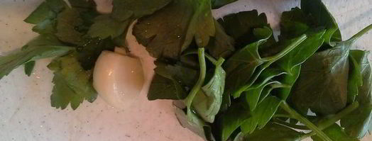 борщ любимый. Шаг 12