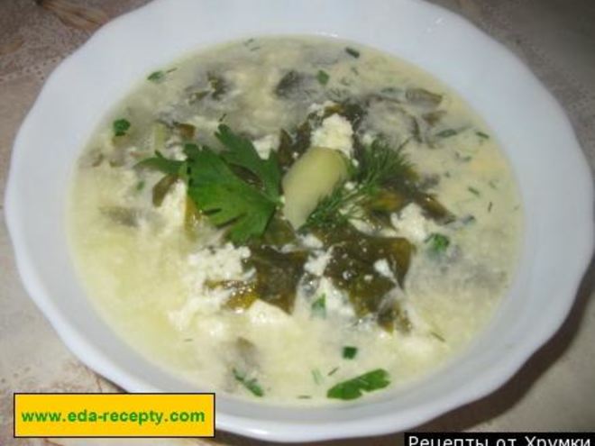 Рецепт вкусного щавелевого борща холодного