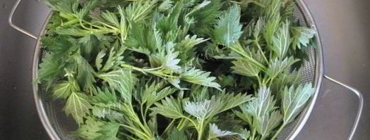 зеленый борщ с крапивой. Шаг 8