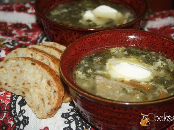 Рецепт зеленого борща со щавелем и виноградными листьями