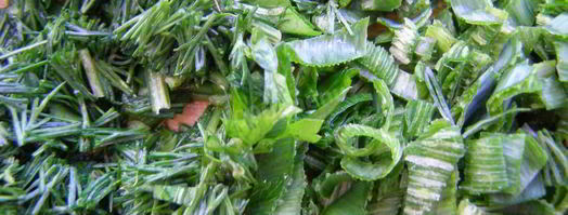 холодник из свеклы. Шаг 6