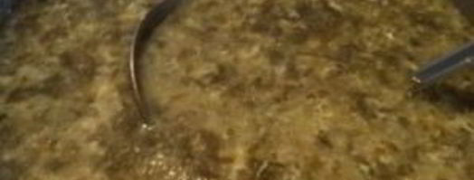 щавелевый суп с курицей. Шаг 10