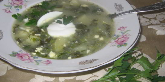 Щи из щавеля