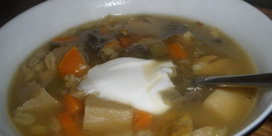 Густая солянка с лесными грибами