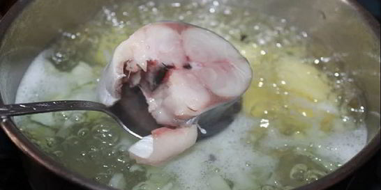 Суп из скумбрии