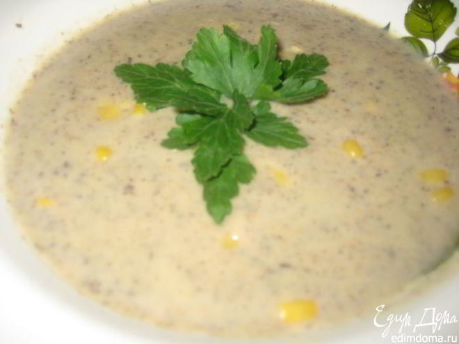 Рецепт грибного супа-пюре