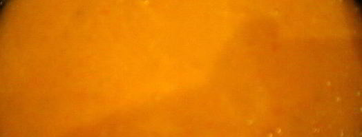 томатный суп-пюре с костным мозгом. Шаг 3