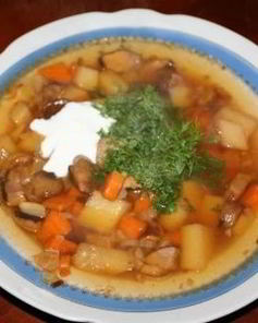 Суп с белыми грибами