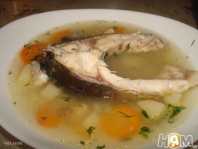 Рецепт ухи из карпа