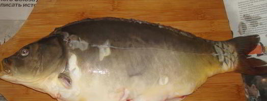 уха из карпа. Шаг 2