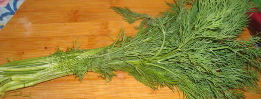 уха из карпа. Шаг 10