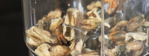 зеленый суп и бутерброды с паштетом из мидий. Шаг 4