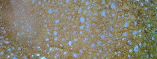 блины румяные, ажурные. Шаг 6