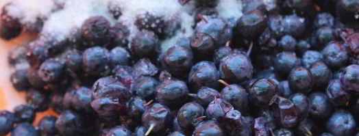 булочки с голубикой. Шаг 3