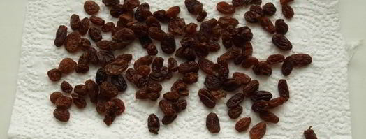 венские булочки с изюмом. Шаг 2