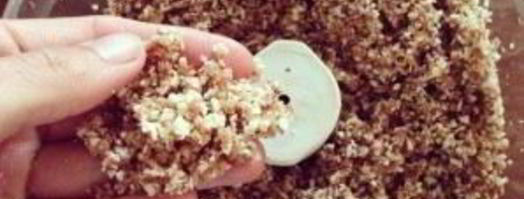 черничный чизкейк с орехами. Шаг 2