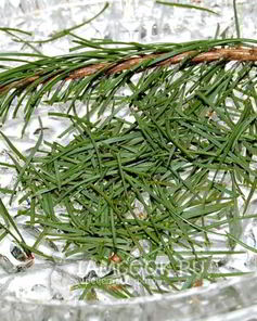 Английский рождественский кекс