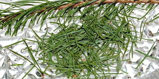 Английский рождественский кекс