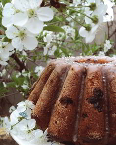 Пряный кекс с вишнями