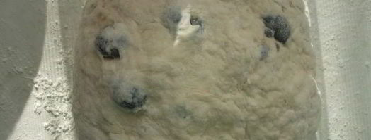 кипрский оливковый хлеб. Шаг 4