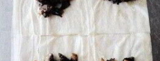 конвертики с грибами. Шаг 6