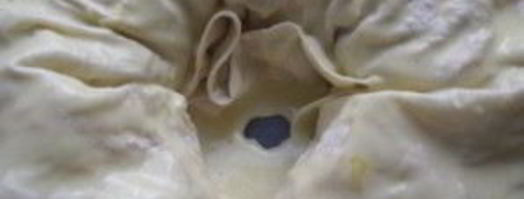 лаваш с фаршем и сыром. Шаг 11