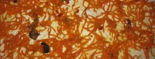 лаваш с корейской морковкой и сыром. Шаг 2