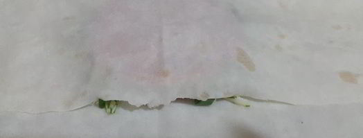 лаваш с сыром и зеленью. Шаг 4