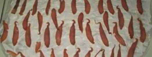 рулетики из лаваша с рыбой. Шаг 2