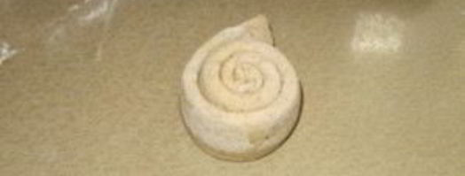 луковая лепешка. Шаг 8