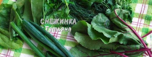 заварные лепешки с сыром и зеленью. Шаг 4