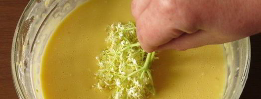 косматице оладьи из цветов черной бузины. Шаг 6