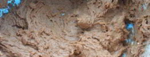 печенье брауни. Шаг 3